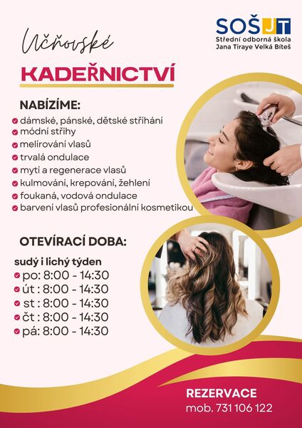 Pink Modern Hair Salon Flyer